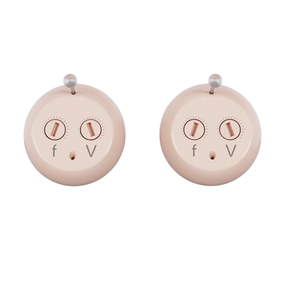 AudioClear™ Hearing Aids + FREE Reachargeable Case